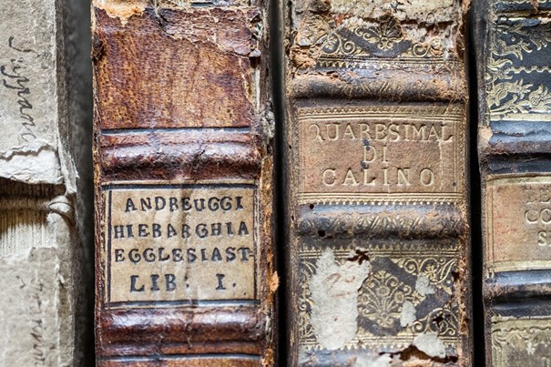 Shelfback of old books